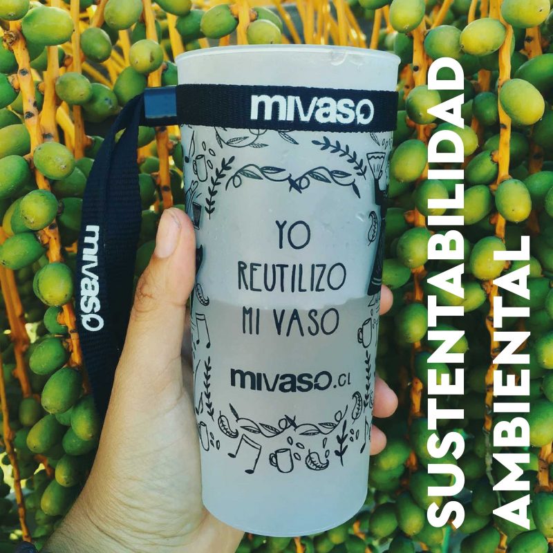 mivaso-sustentabilidad-ambiental